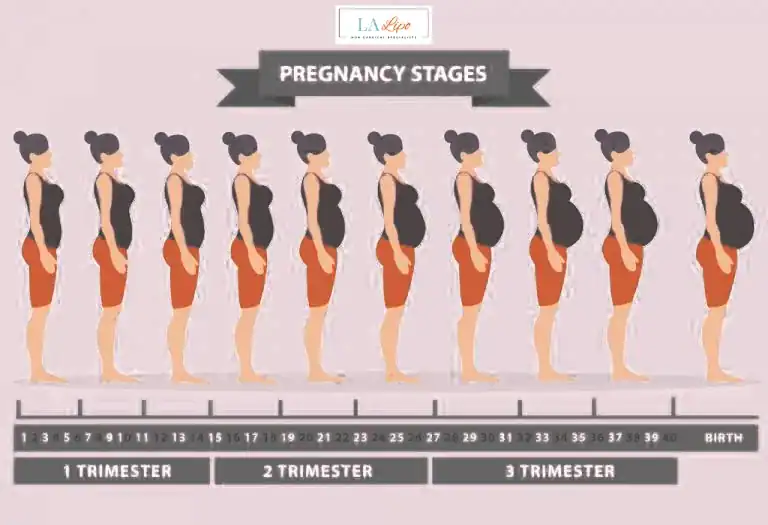 First Trimester (Weeks 1–12): Early Changes You Might Not Notice Swansea